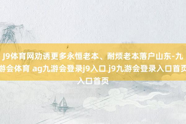 J9体育网劝诱更多永恒老本、耐烦老本落户山东-九游会体育 ag九游会登录j9入口 j9九游会登录入口首页